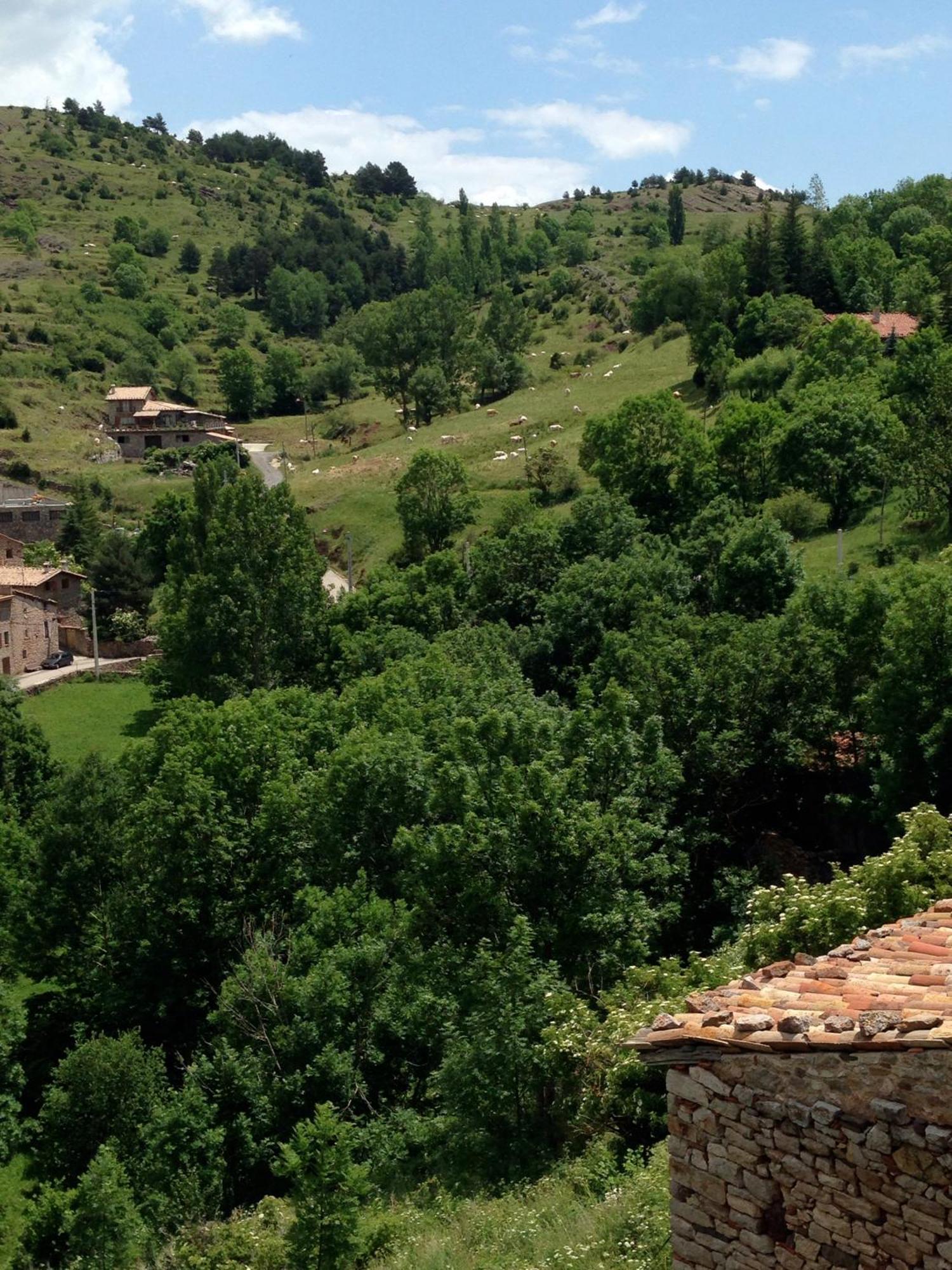 Cal Xesc Appartement Castellar De N'Hug Buitenkant foto